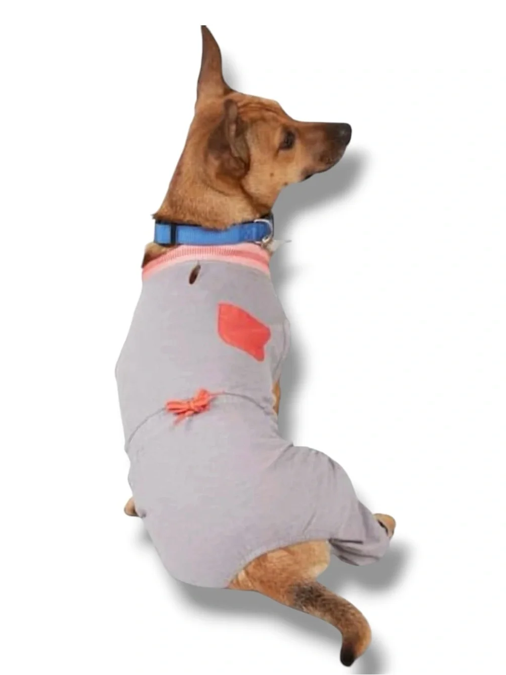 YOULY The Dreamer Gray & Orange Pocket Dog Pajamas Jumpsuit 11-14”